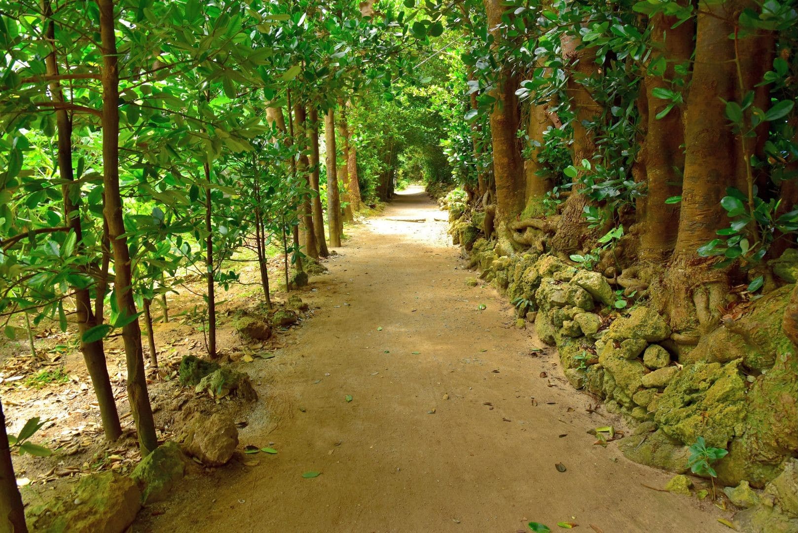 Landscape photography